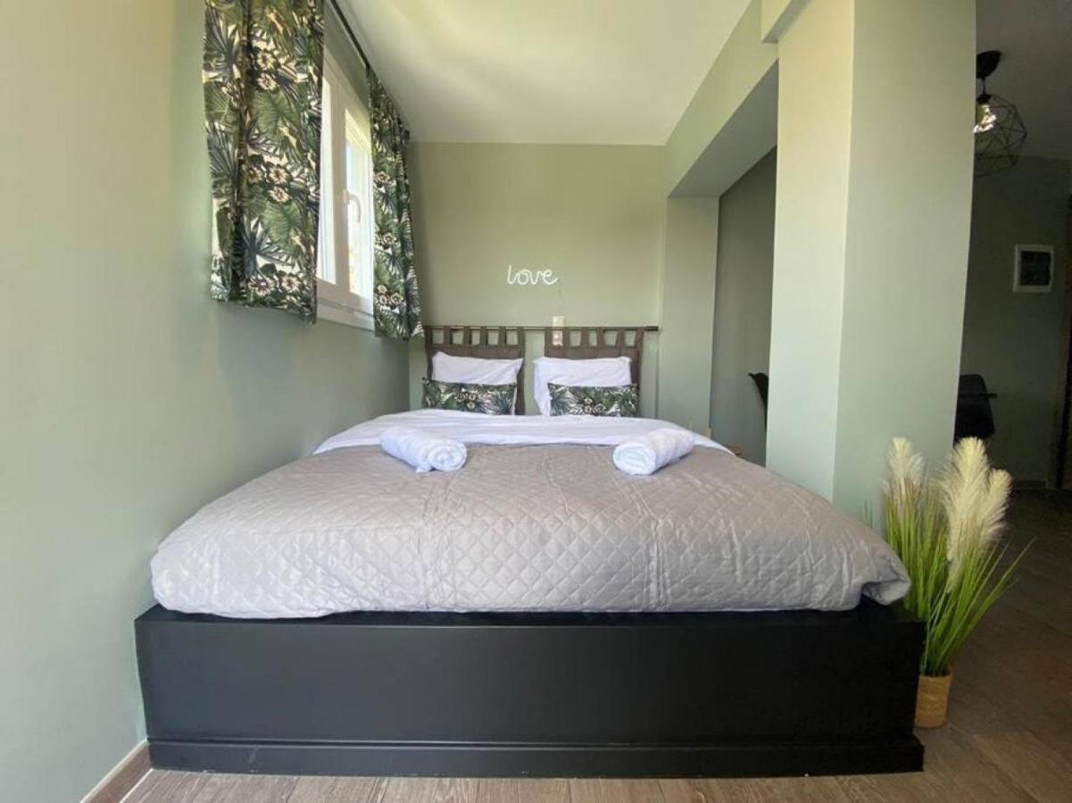 Rooftop Apartment With Garden In Ioannina Bagian luar foto