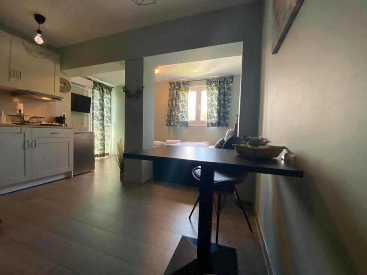 Rooftop Apartment With Garden In Ioannina Bagian luar foto