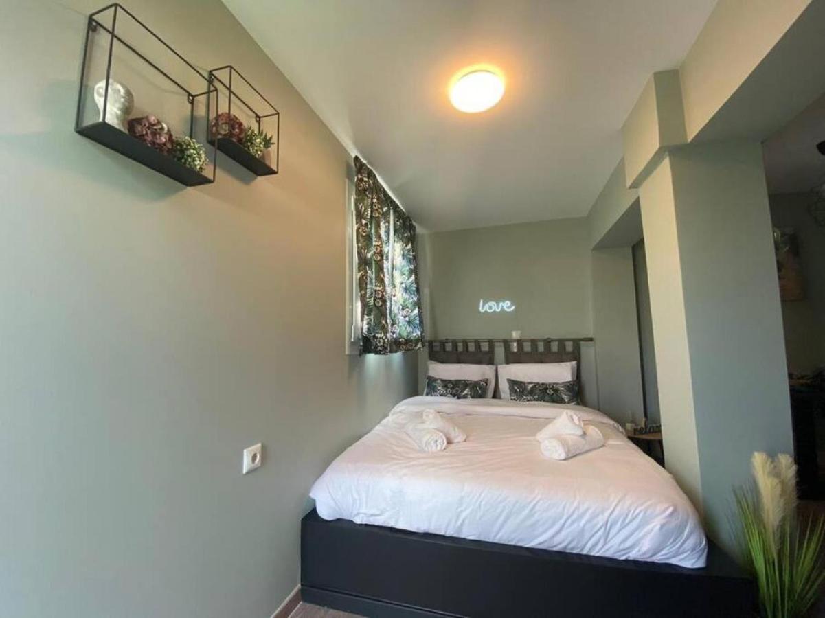 Rooftop Apartment With Garden In Ioannina Bagian luar foto